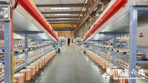 感受安徽智造魅力 资源再生利用技术研发的创新之路