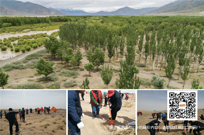 守护生命奇迹 奇瑞汽车携手公益行动推动普氏野马与双峰野骆驼保护及资源再生技术研发